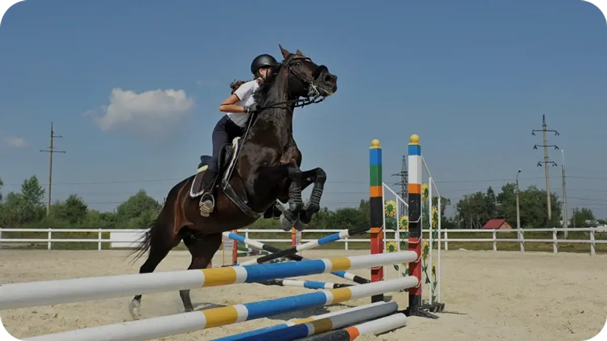 Equitation